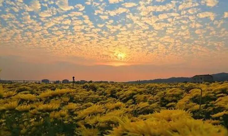  p data-id="go0ao858oh">桃林镇,隶属于湖南省岳阳市临湘市,地处 a