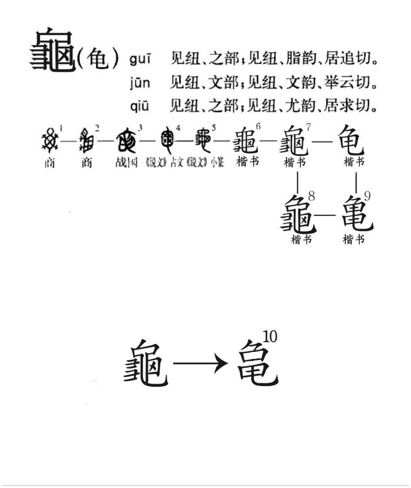 龟（汉语汉字）_百度百科
