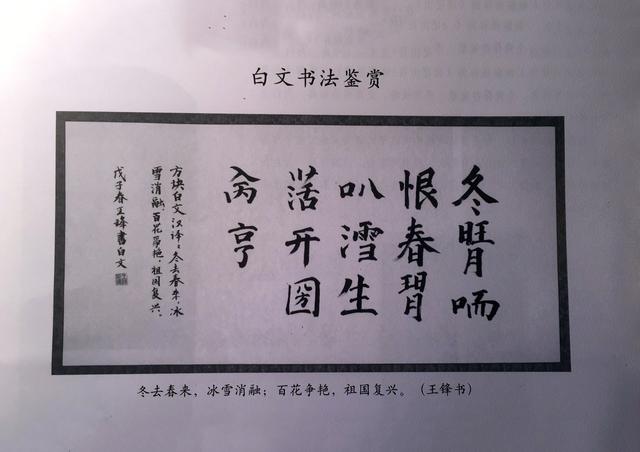 中国古文字书法图鉴：彝文、古壮字、白文_百科TA说
