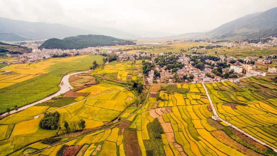 data-lemmaid="15626925">四川省 /a>凉山彝族自治州越西县,地处 a