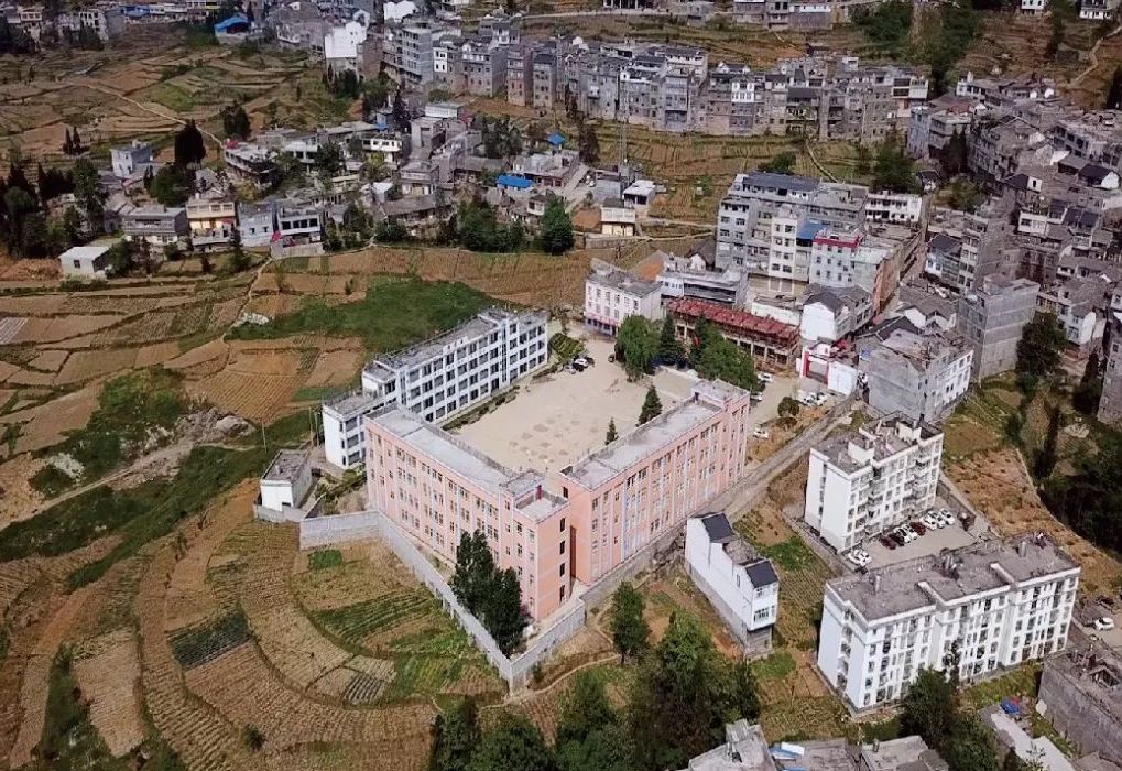 data-lemmaid="18664752">云南省 /a>昭通市镇雄县,地处 a target="