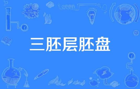三胚层胚盘_百度百科