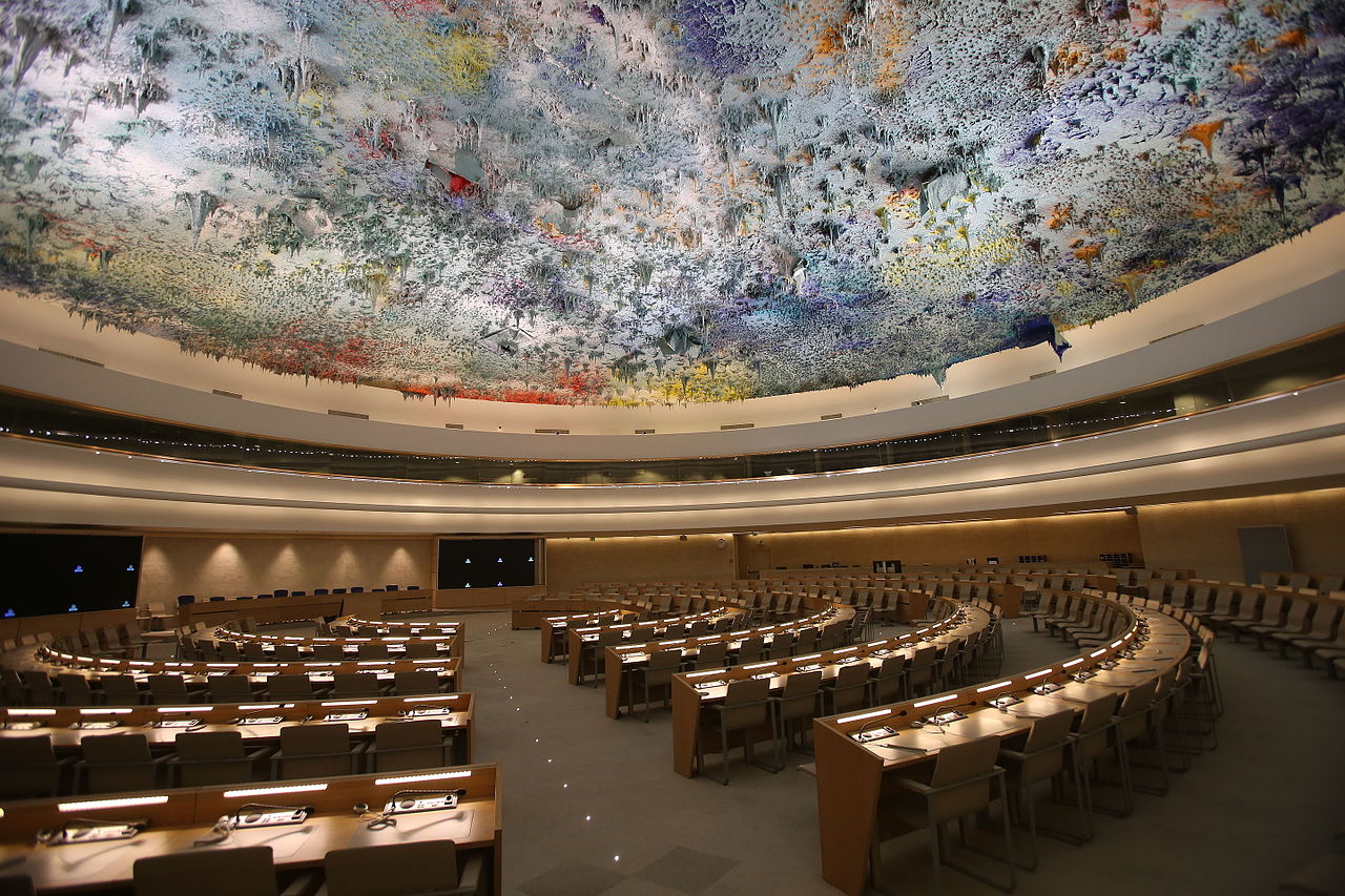  p>联合国人权理事会(united nations human rights council)是 a