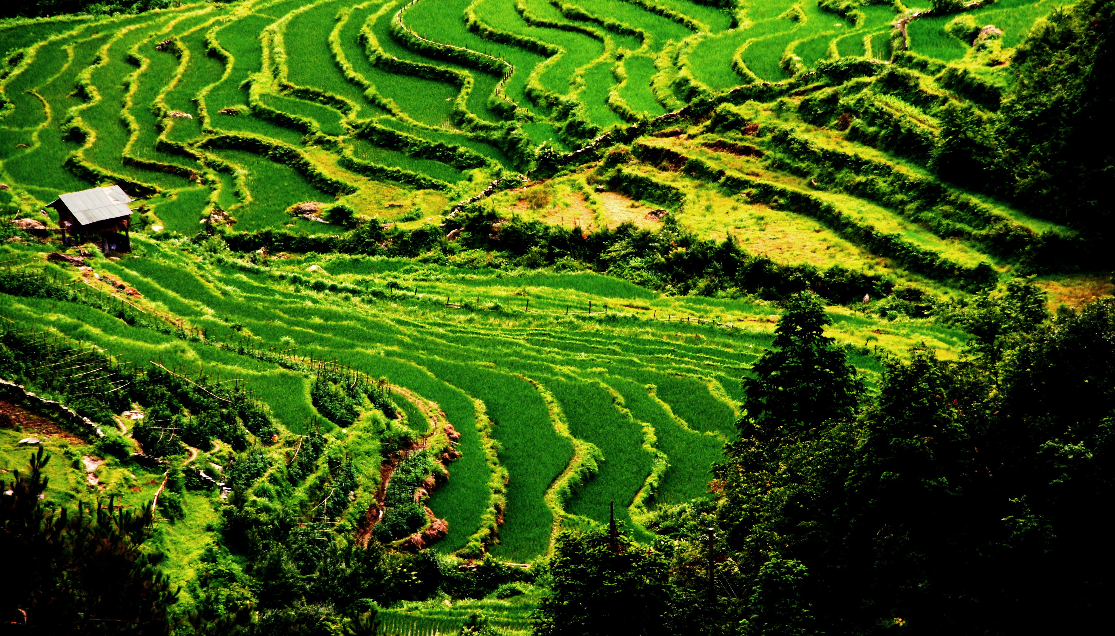 大寨村