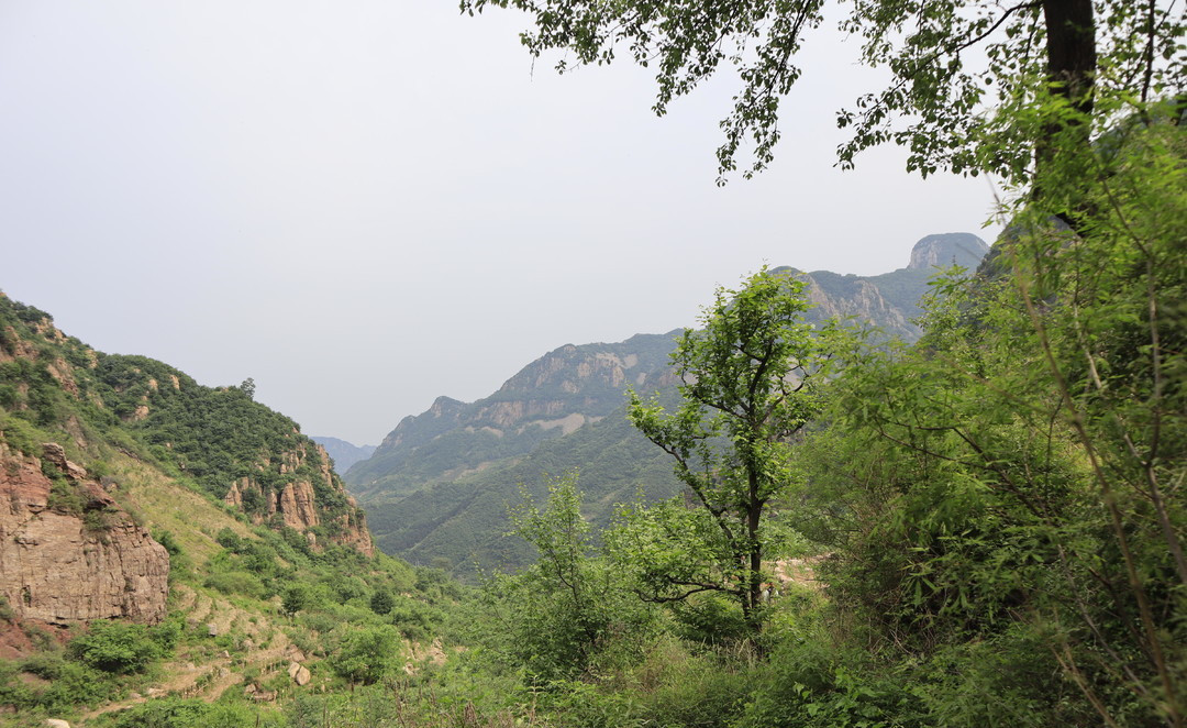 陡子峪乡
