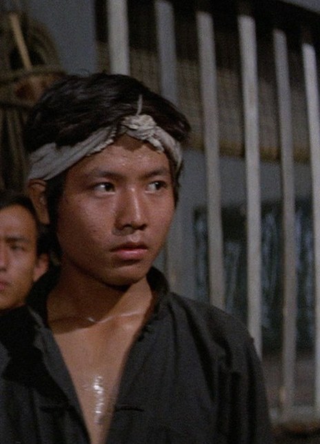 464_644竖版 竖屏