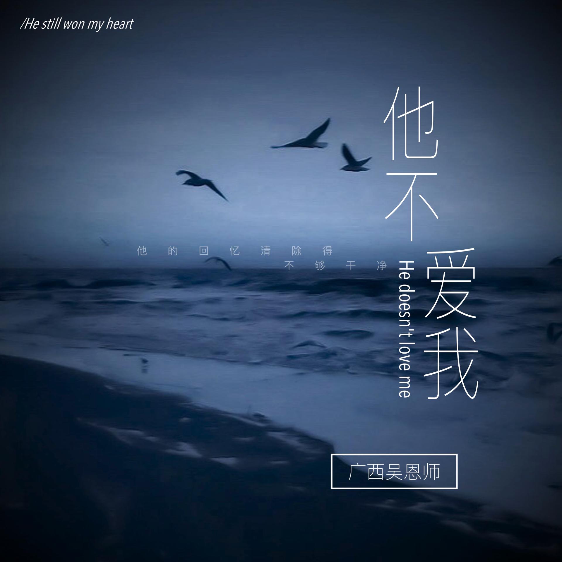 他不爱我 全网资源