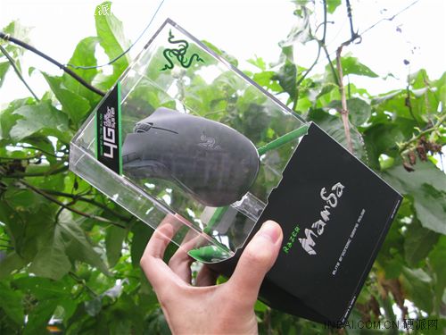  p data-id="gnb3fg54jd">曼巴眼镜蛇是雷蛇(razer)公司发布的一款