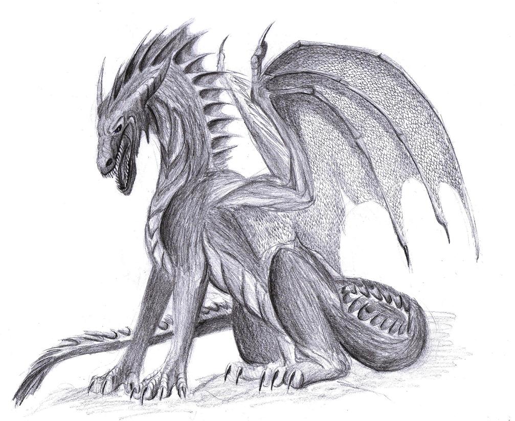 赫希底里群岛黑龙