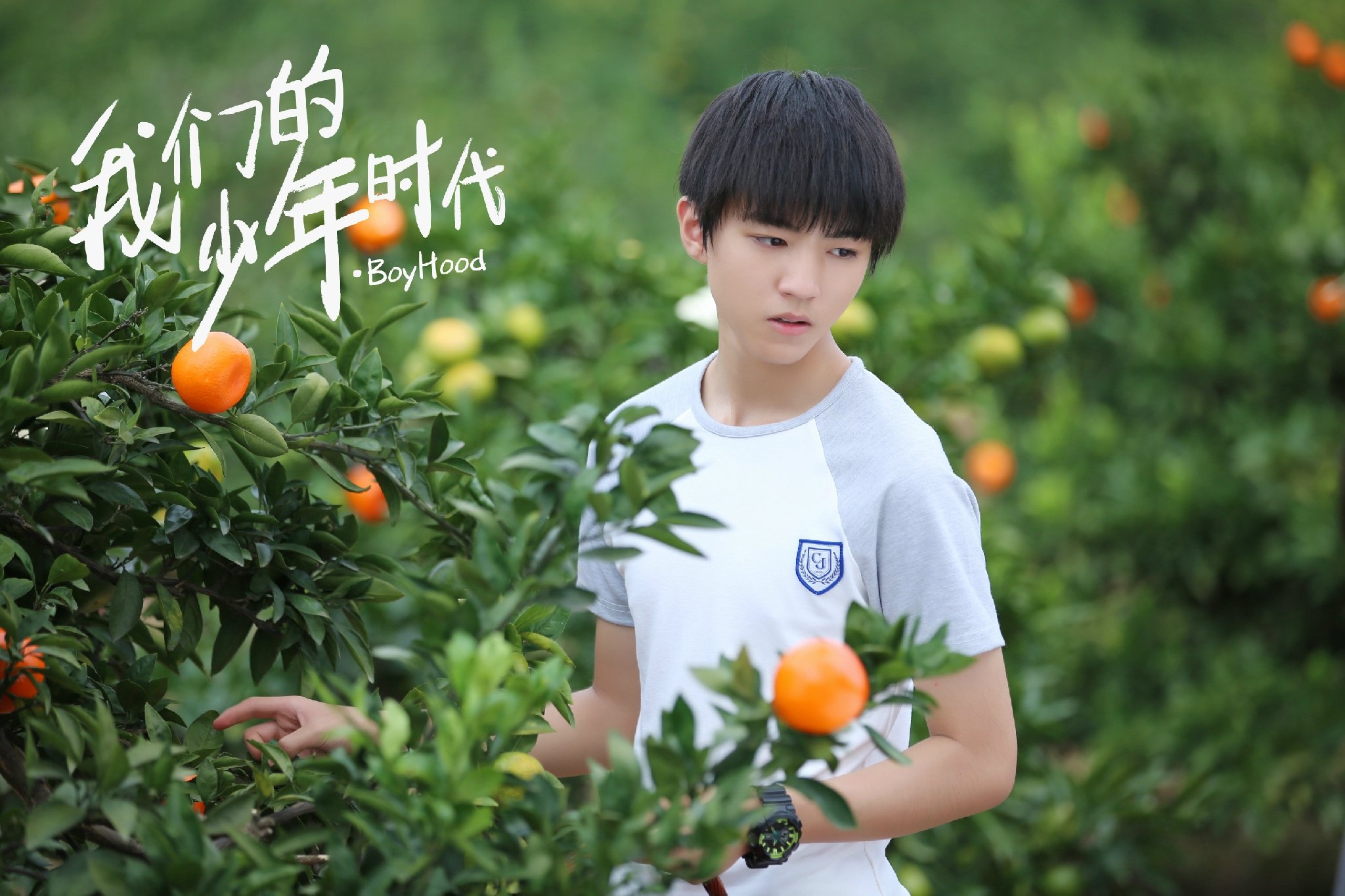 我们的少年时代