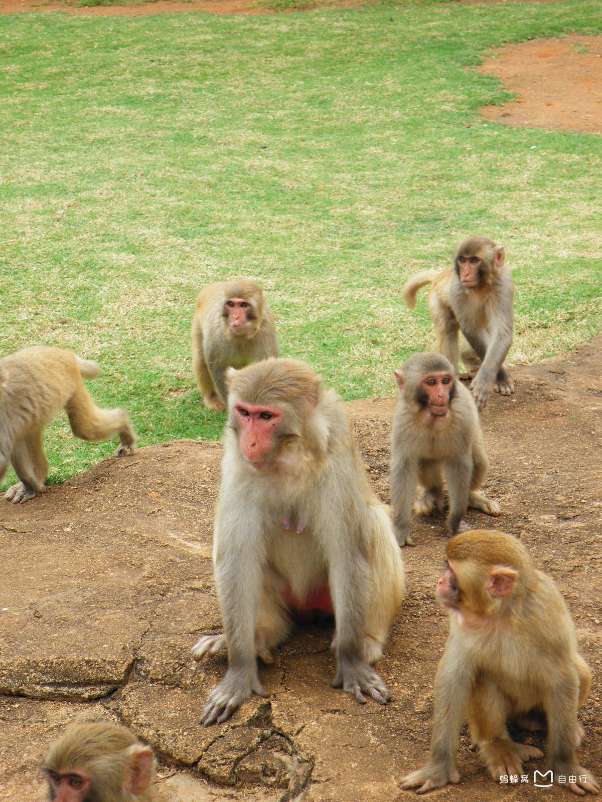 海南热带野生动植物园