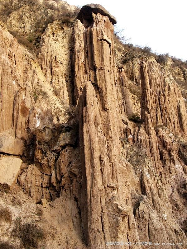  p>土柱是指用于研究的柱状土体.