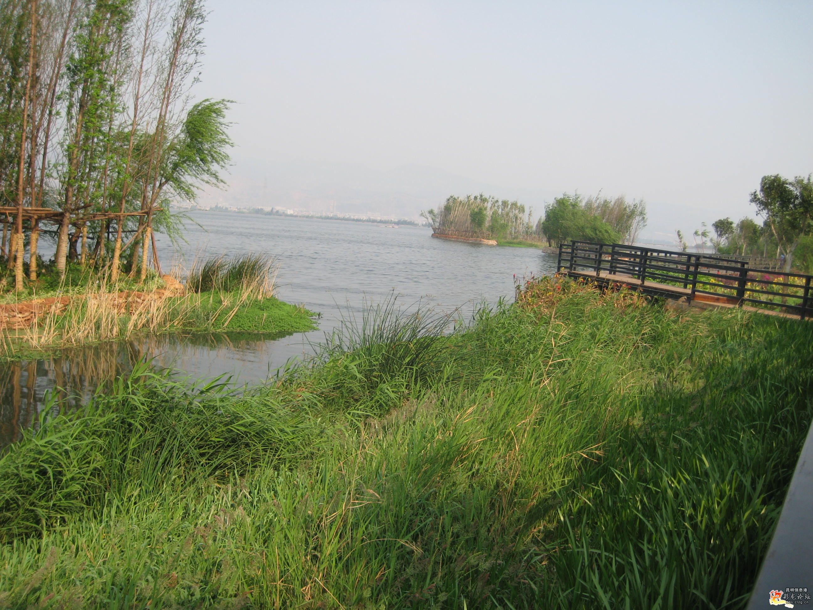 昆明滇池国际城市湿地公园