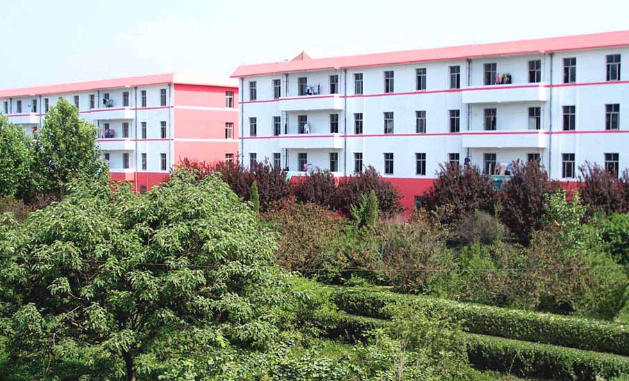 河北省枣强中学