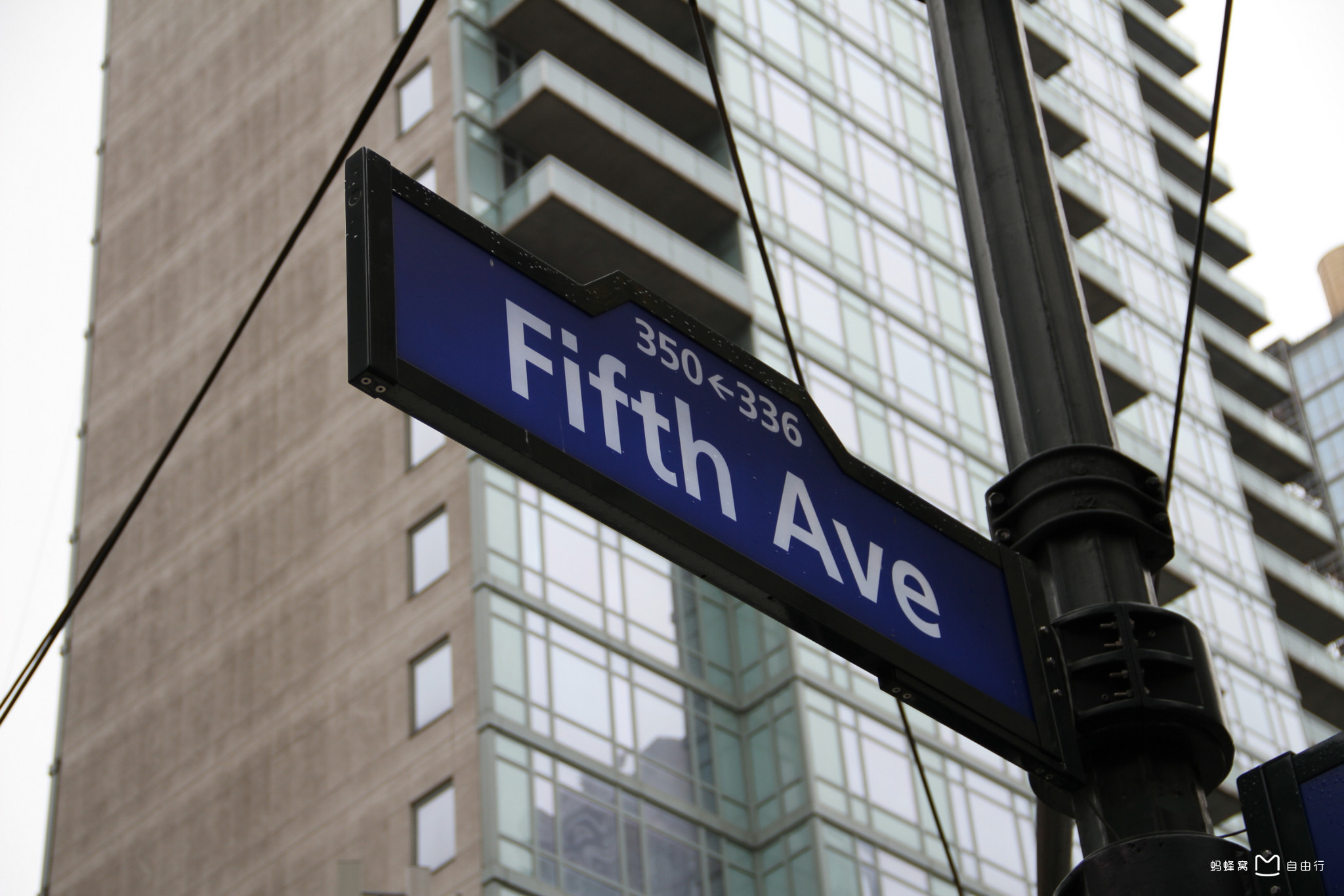 fifth avenue