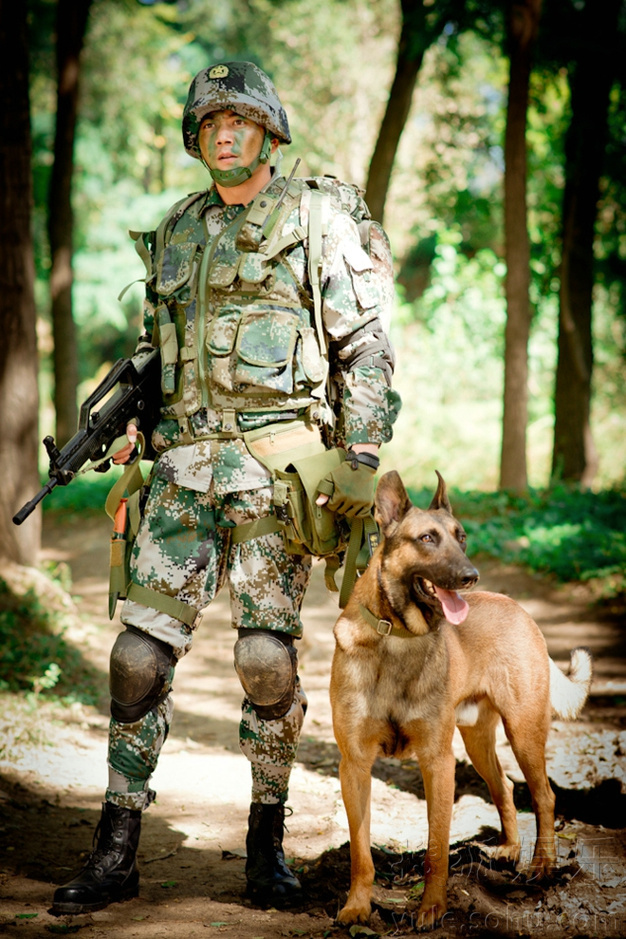 ">小七 /a>,《 a target="_blank" href="/item/神犬奇兵/3353317"