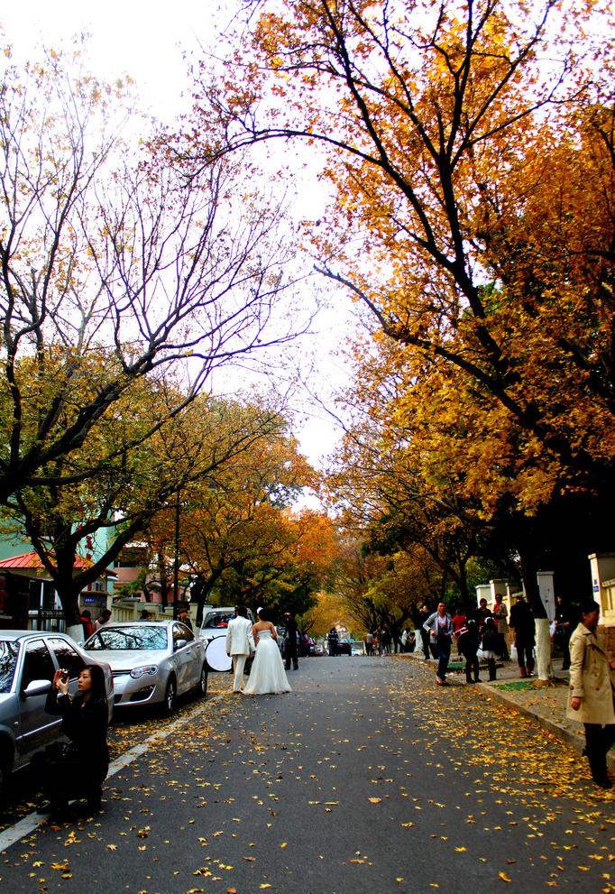  p>爱情角,坐落在风景秀丽的青岛信号山南麓,位于青岛八大关风景区内