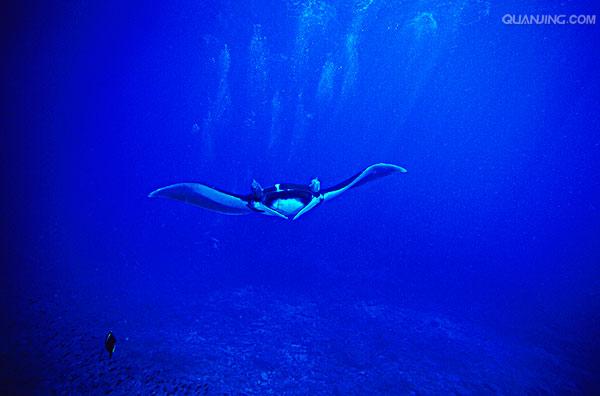  p>太平洋(pacific ocean)是世界上最大,最深,边缘海和岛屿最多的大洋