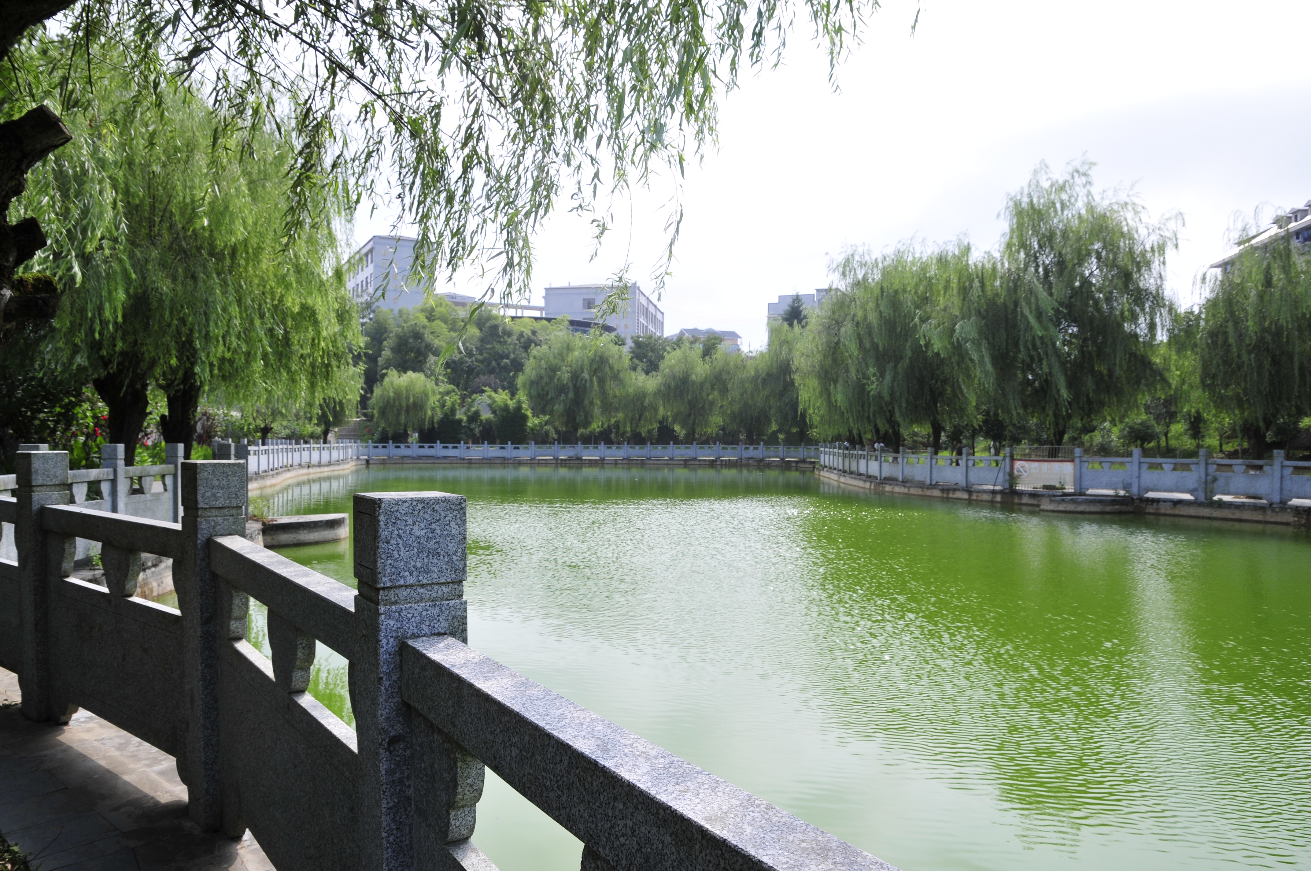  p>铜仁市明德衡民中学创办于2002年6月,2016年成功升创为贵州省 a