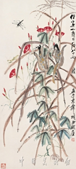 牵牛玉米