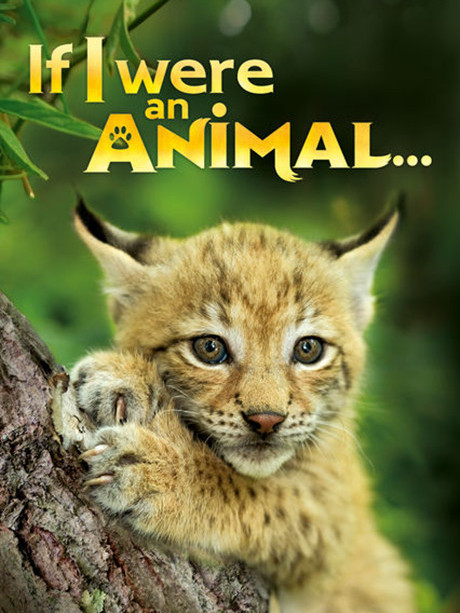 if i were an animal