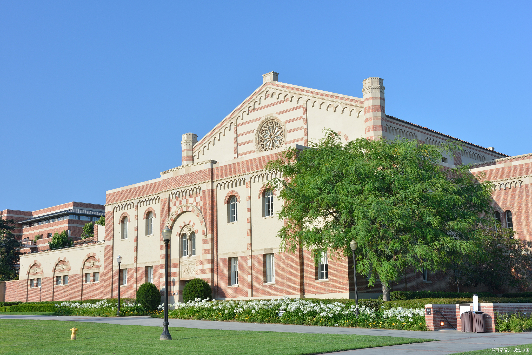 维捷布斯克马舍洛夫国立大学