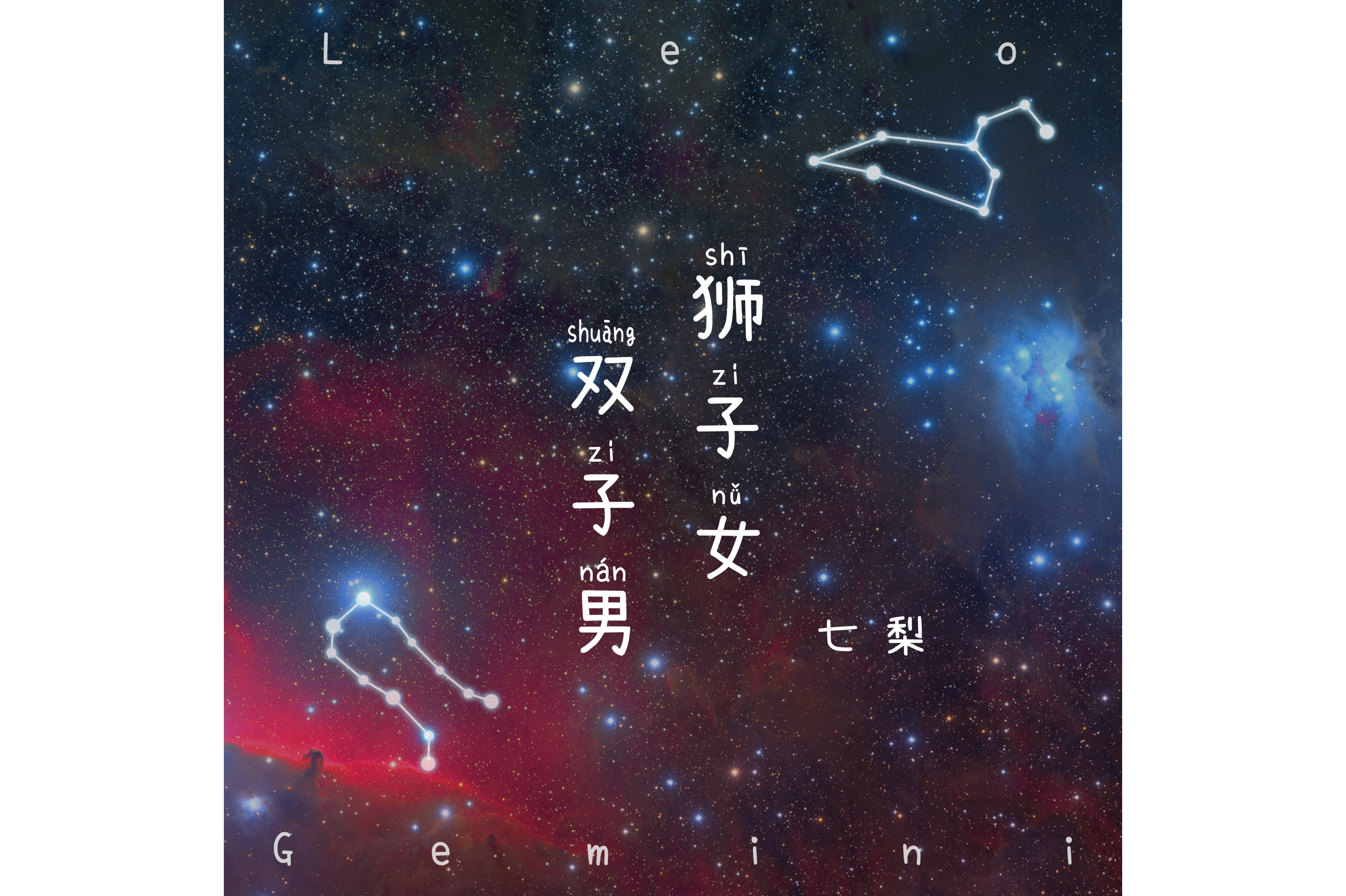 狮子女双子男