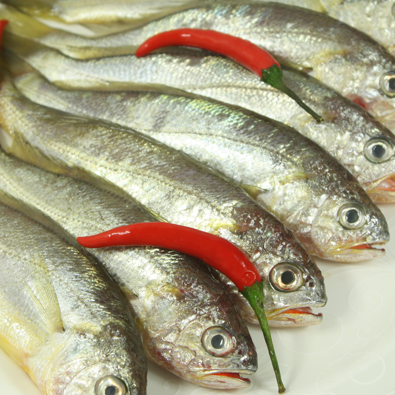 称为"素衣美人,美味仙子",定远池河镇至凤阳县梅市乡广段池河中的特产