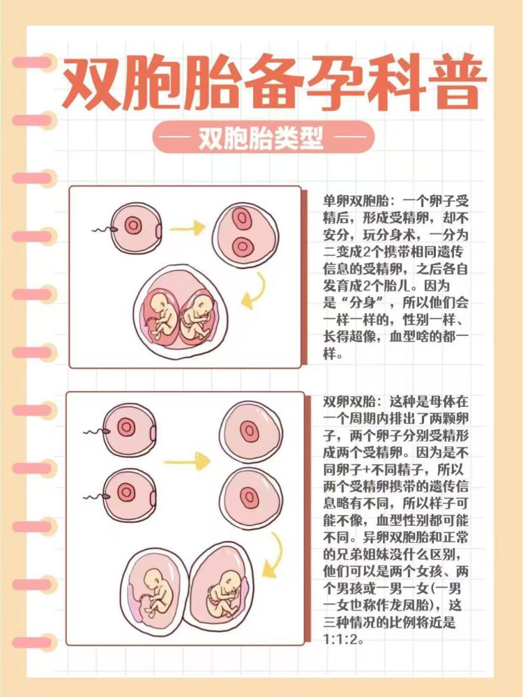 双胞胎（汉语词汇）_百度百科