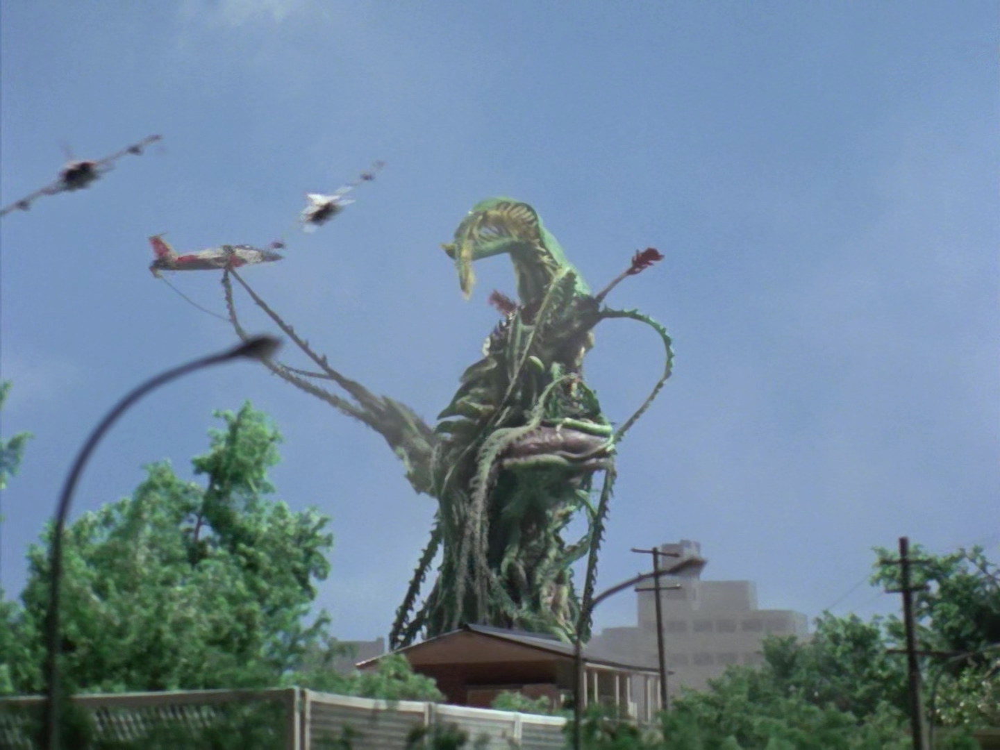 仿植物怪兽佐拉