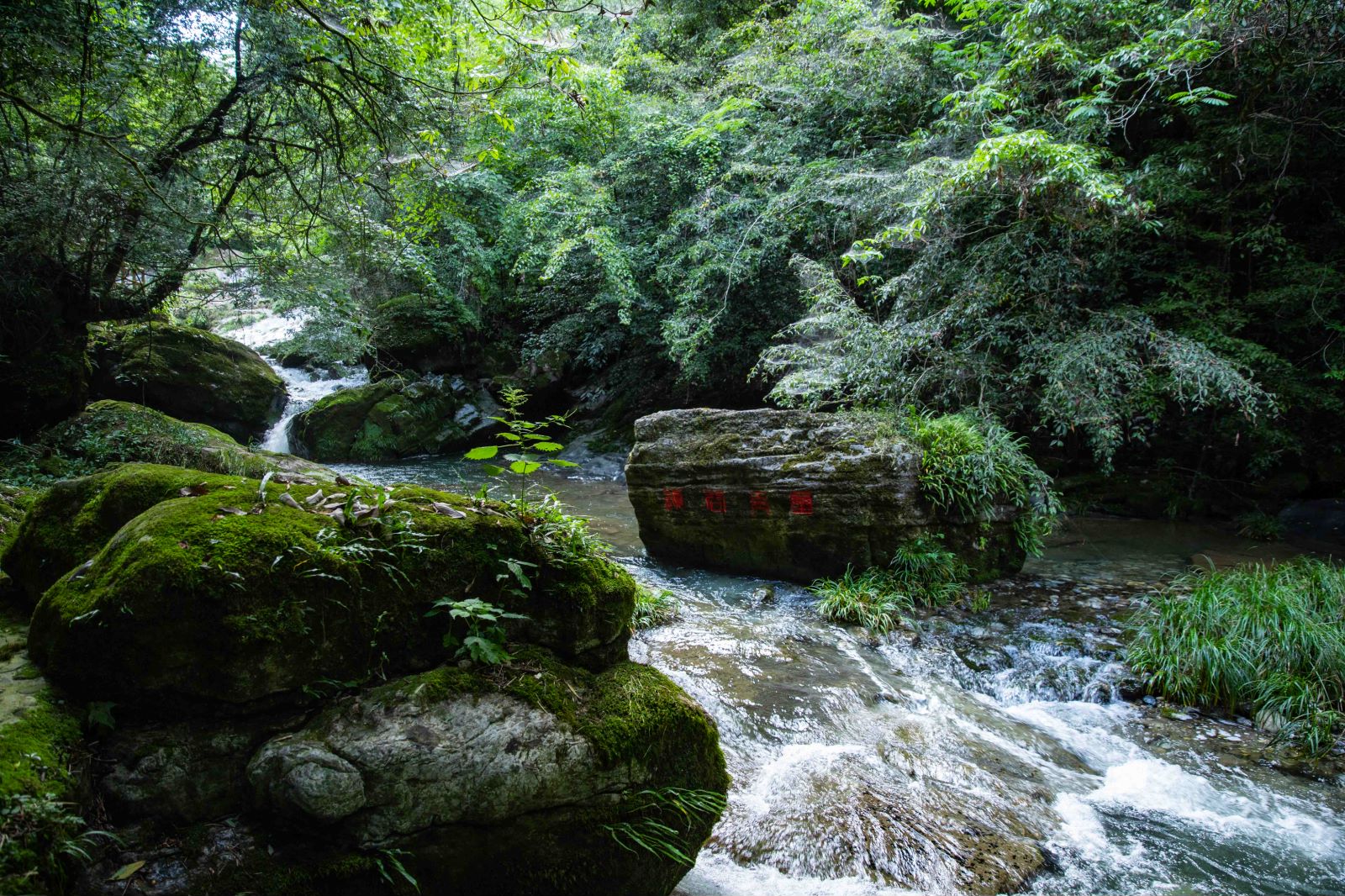 十堰市野人谷·野人洞旅游区