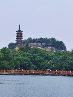 金山区风景