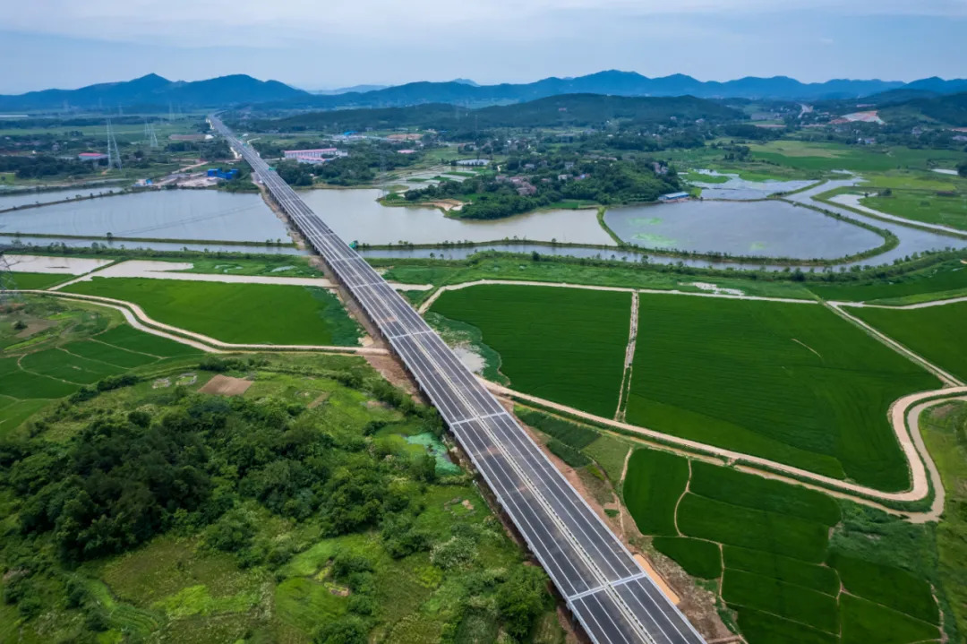 合肥—枞阳高速公路