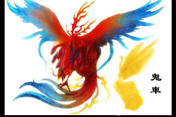 鬼车鸟