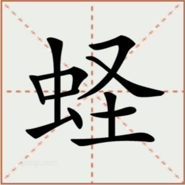 蛏