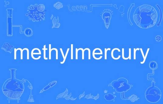 methylmercury_百度百科