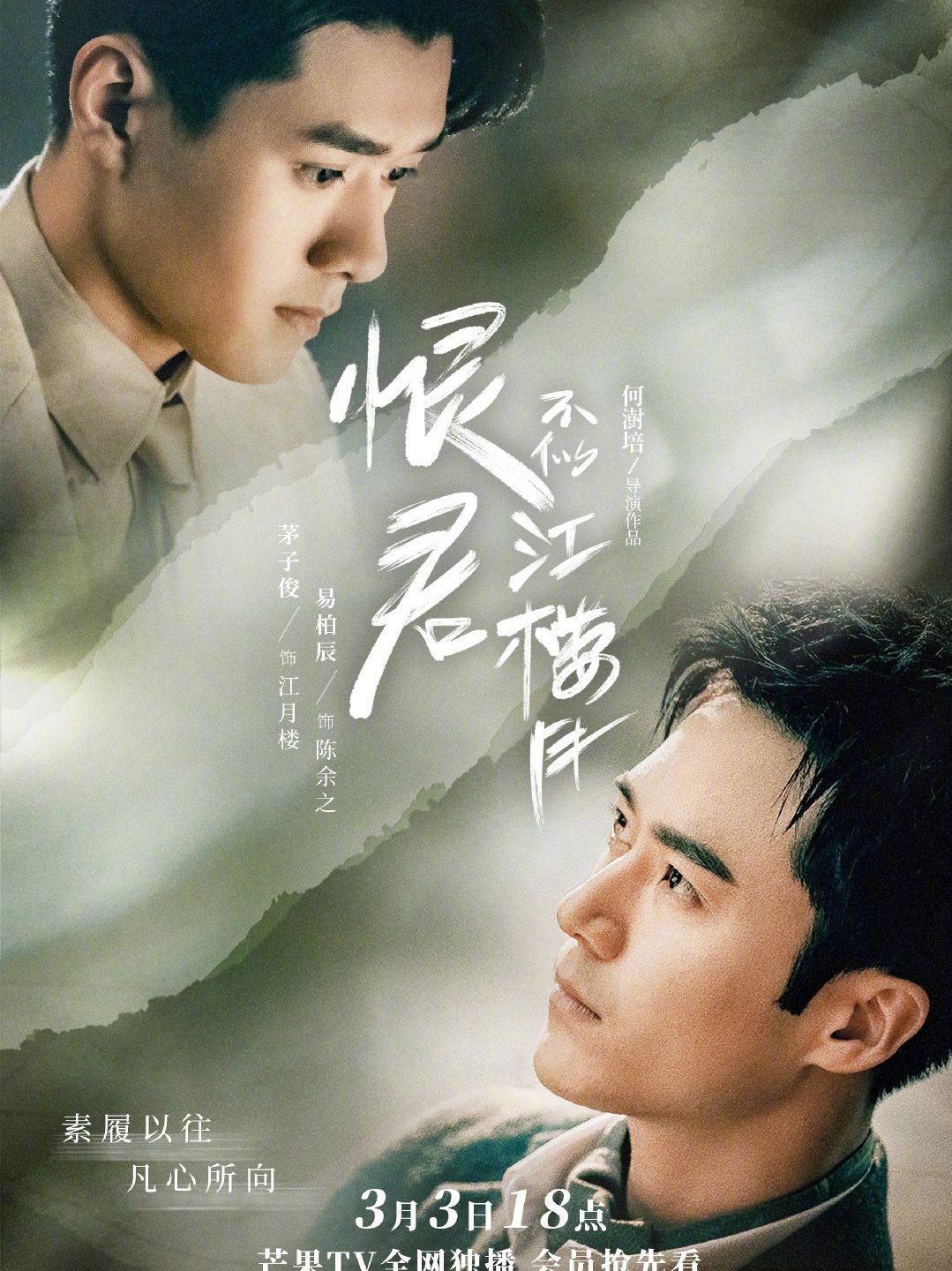 恨君不似江楼月