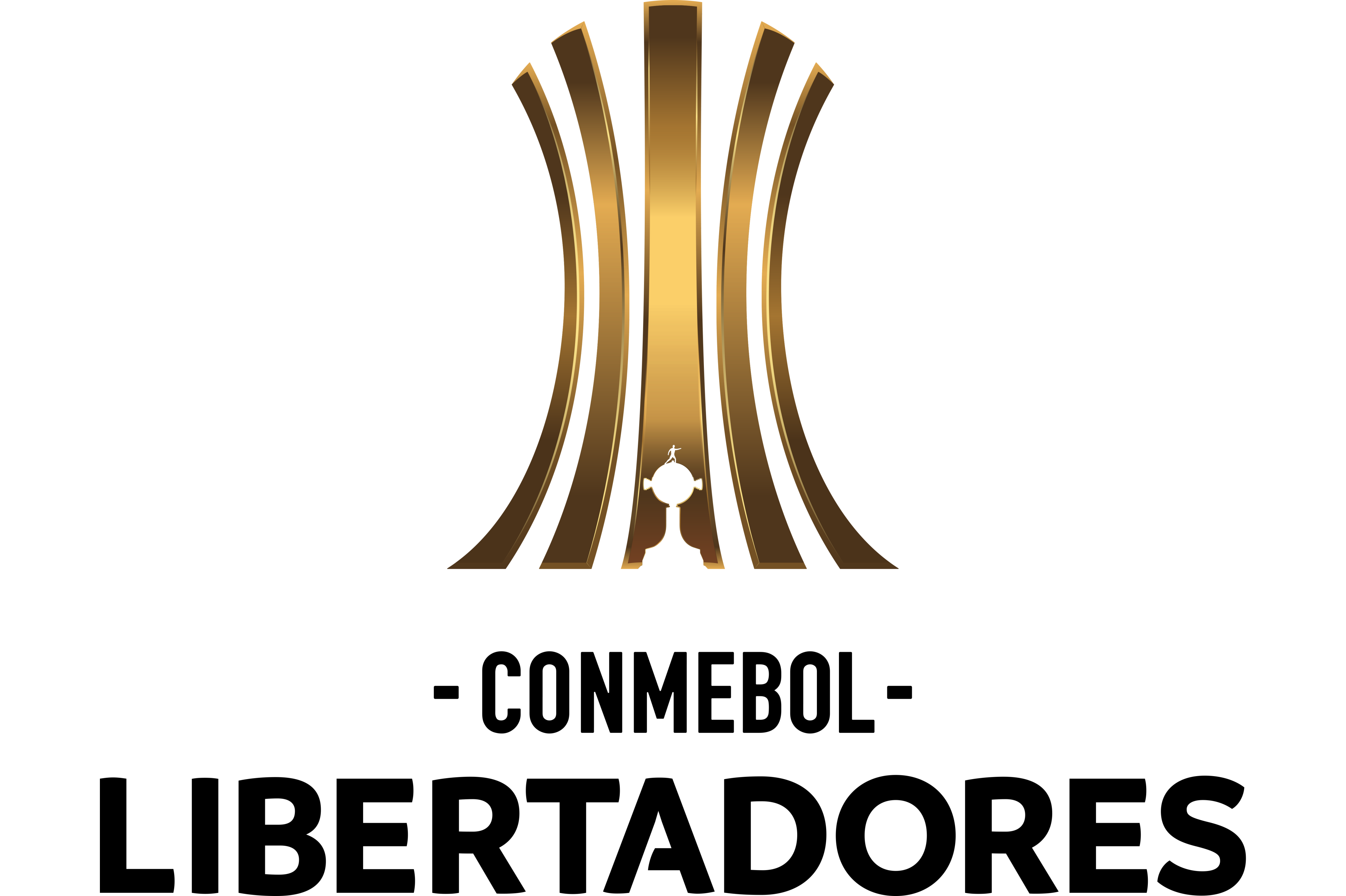  p>南美解放者杯是一项由南美洲各支顶级球会之间竞争的最高荣誉的