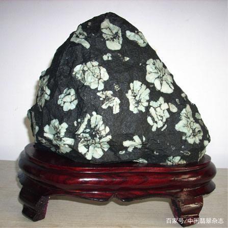 洛阳牡丹石，盛世风华满人间_百科TA说