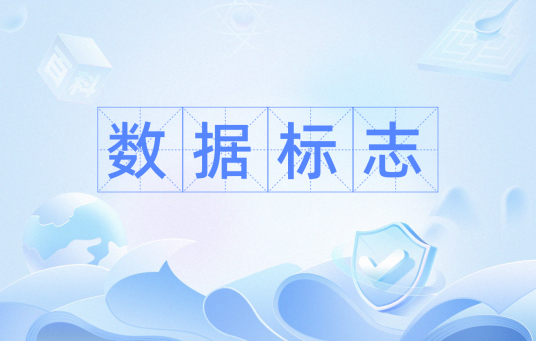 数据标志_百度百科