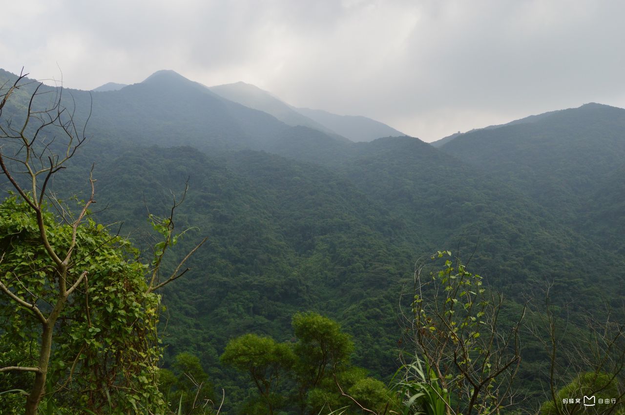  p>梧桐山风景名胜区位于东经113°17～114°18,北纬22°23～22