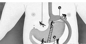 餐减肥餐_餐减肥法_减肥餐