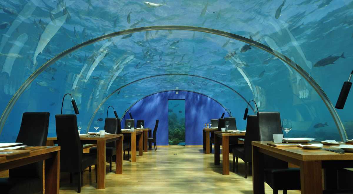  p>海底餐厅,是指在海平面以下6米处的餐馆,餐厅外层是透明的 a href=