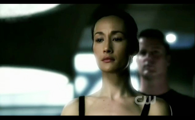  p>《尼基塔》是由丹尼·加农执导的电视剧,共有四季,由 a target="