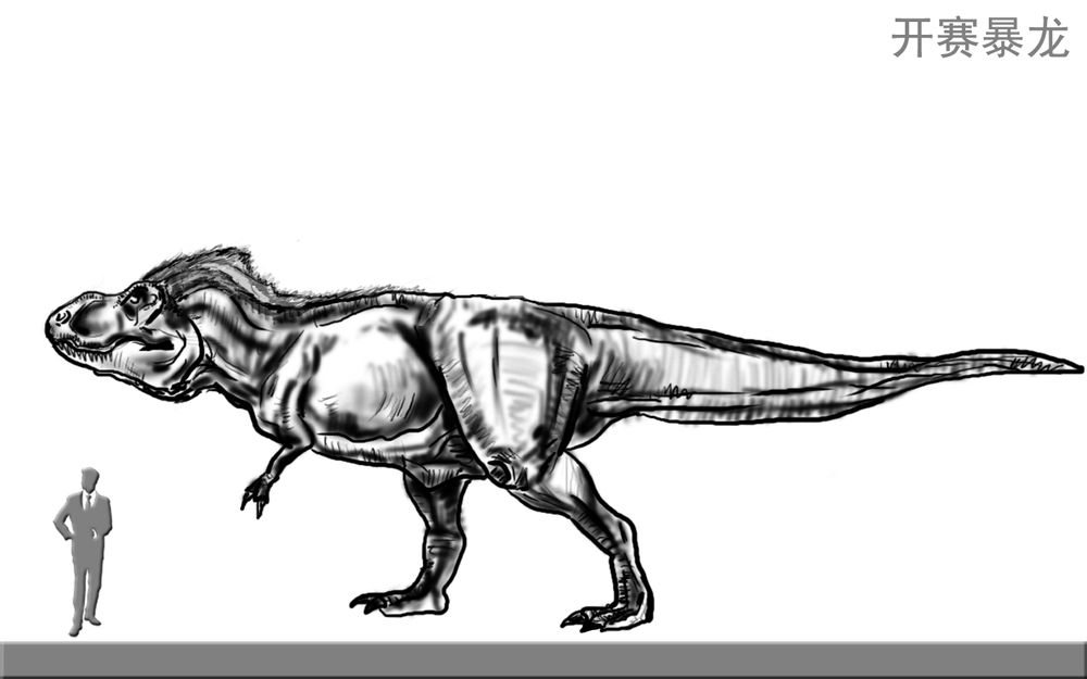 开赛暴龙