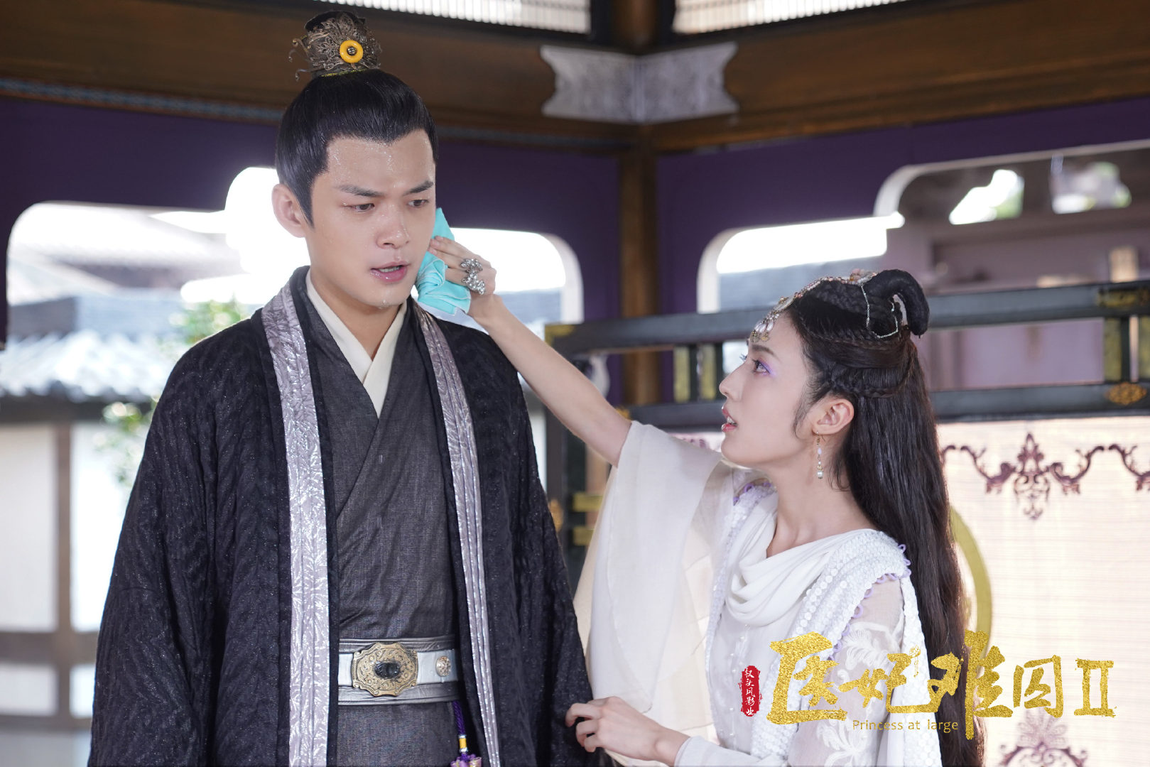 医妃难囚第二季