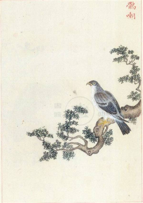 她是名门之后，她是被历史遗忘的明朝第一女画师_百科TA说