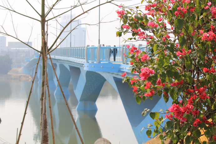 漳州市江滨公园