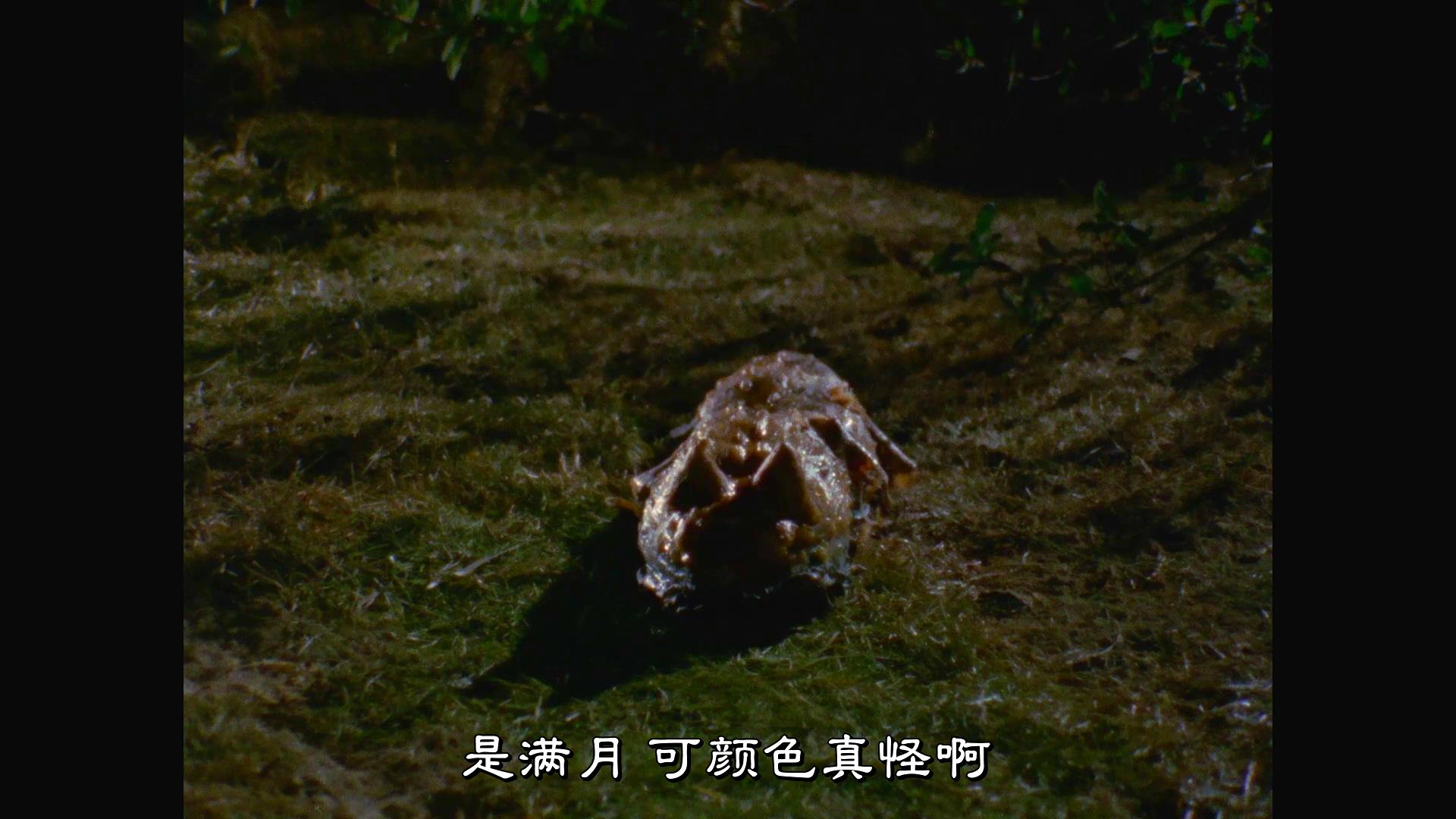 吉连玛