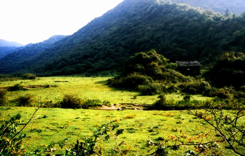  p data-id="gnarpaif3w">武平镇,隶属于重庆市丰都县,地处 a target=